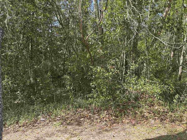 2 Acres of Residential Land for Sale in Tallahassee, Florida