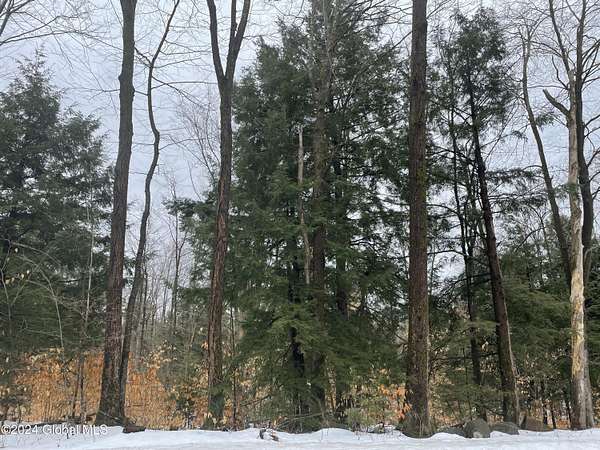 24 Acres of Land for Sale in Lake Luzerne, New York