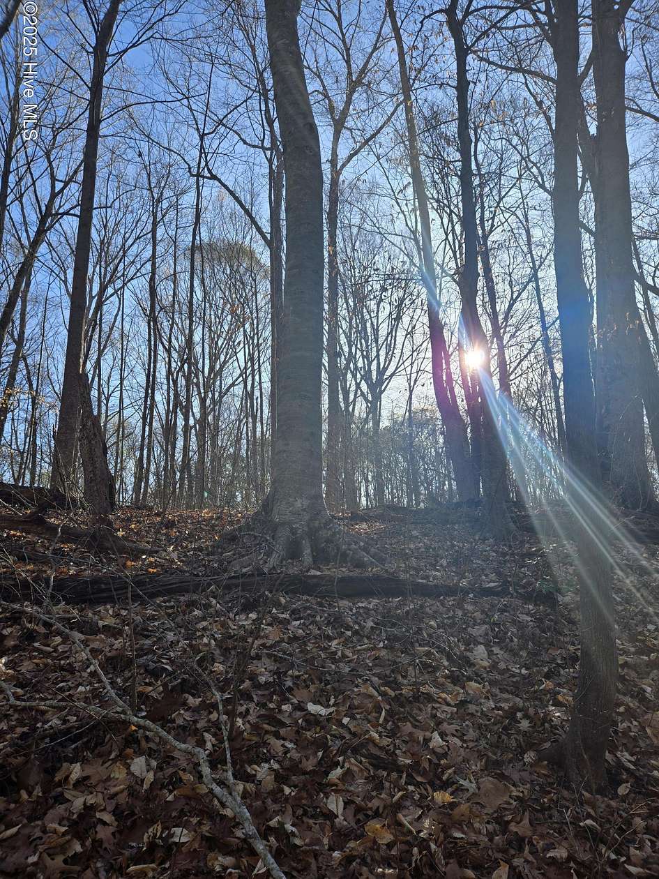 69.5 Acres of Recreational Land & Farm for Sale in Williamston, North Carolina