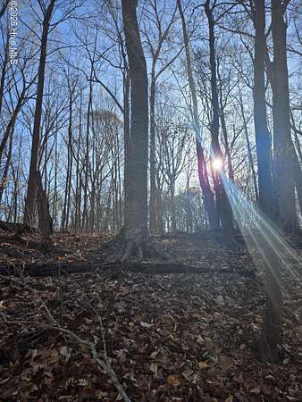 69.5 Acres of Recreational Land & Farm for Sale in Williamston, North Carolina