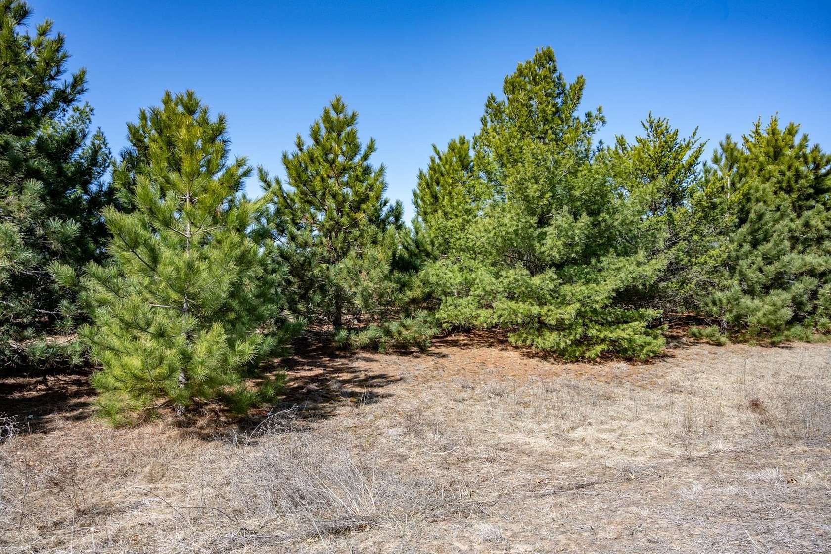 0.48 Acres of Residential Land for Sale in New Lisbon, Wisconsin