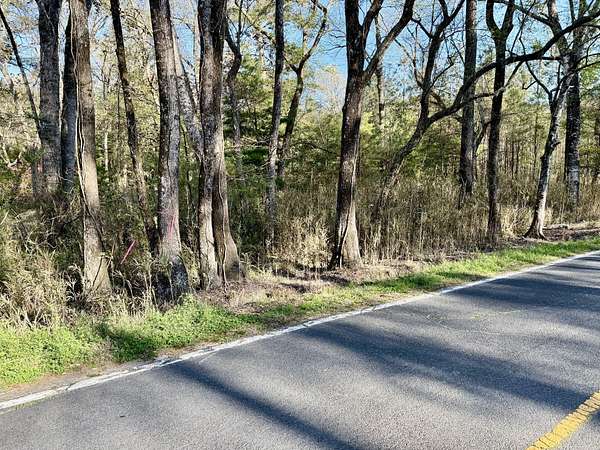 2 Acres of Residential Land for Sale in Adams Run, South Carolina
