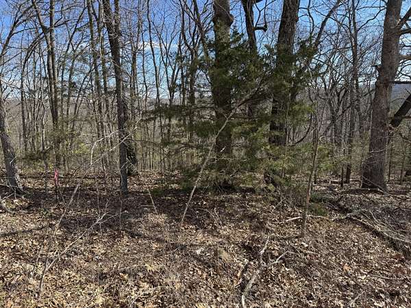 10 Acres of Recreational Land for Sale in Branson West, Missouri