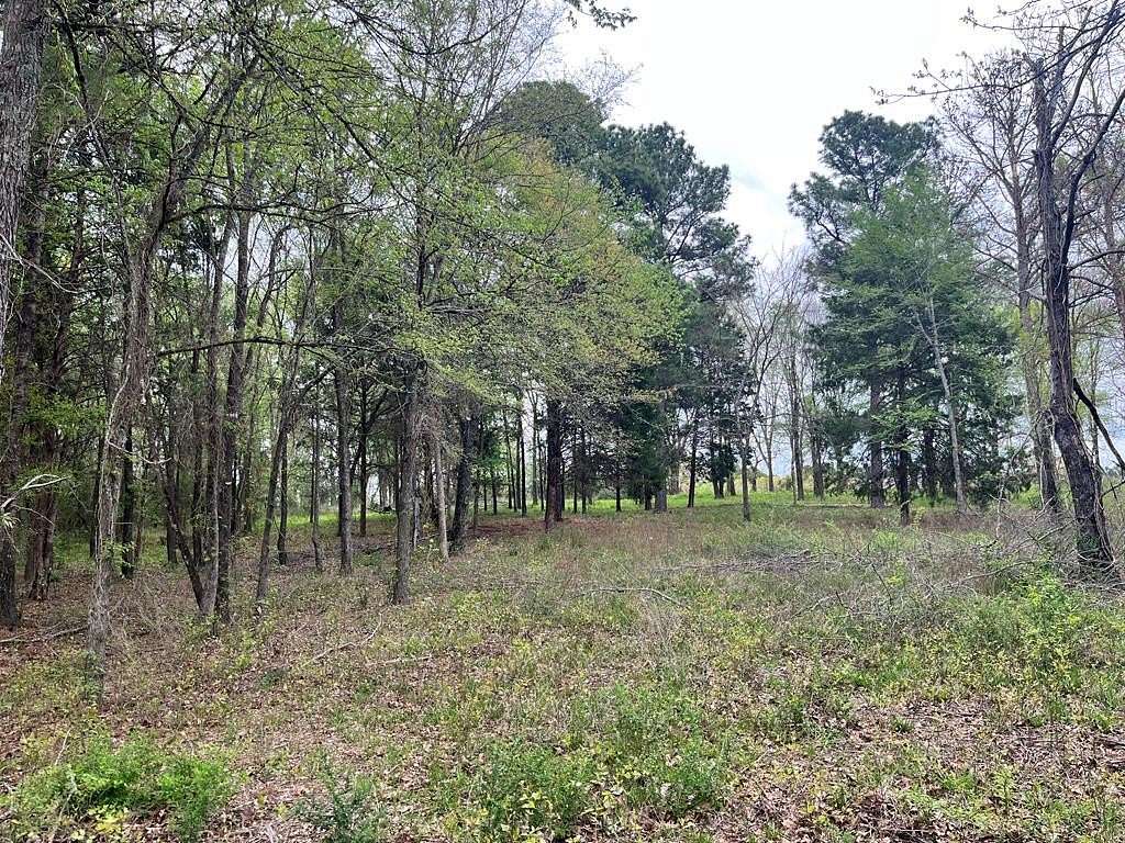 1.45 Acres of Residential Land for Sale in Athens, Texas