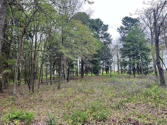 1.45 Acres of Residential Land for Sale in Athens, Texas