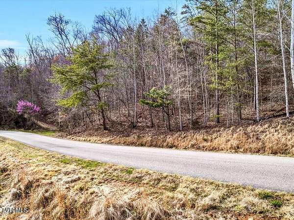 0.99 Acres of Residential Land for Sale in New Tazewell, Tennessee