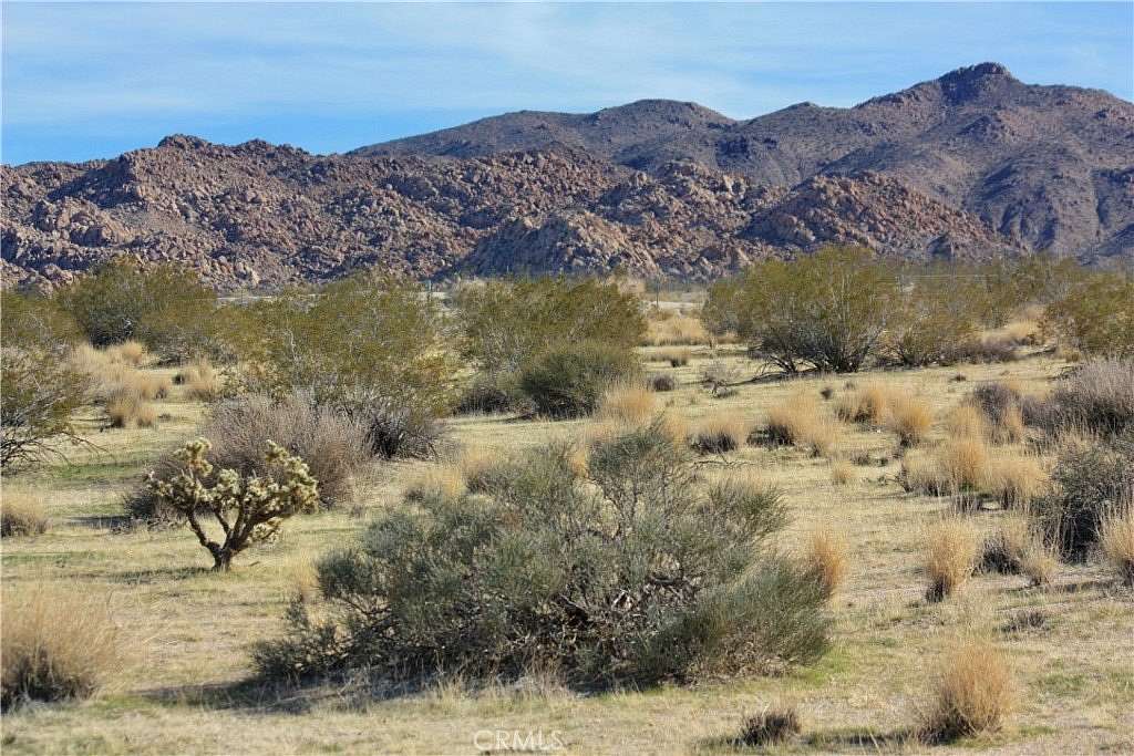 10 Acres of Residential Land for Sale in Joshua Tree, California