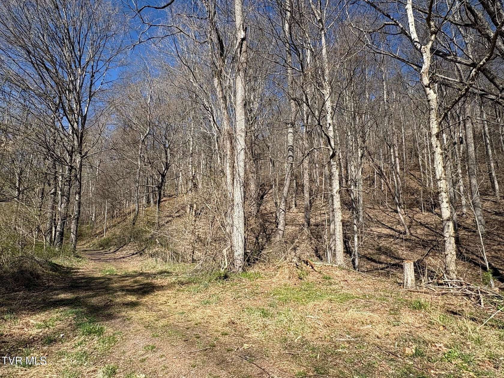 27 Acres of Recreational Land for Sale in Saltville, Virginia