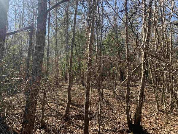 18.6 Acres of Land for Sale in Princeton, Arkansas
