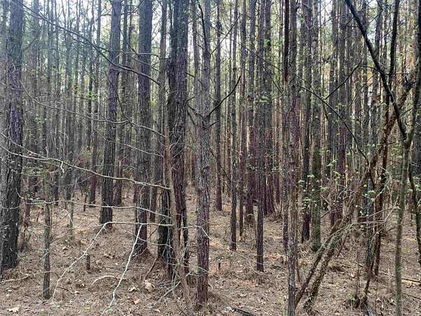 25 Acres of Recreational Land for Sale in Fordyce, Arkansas