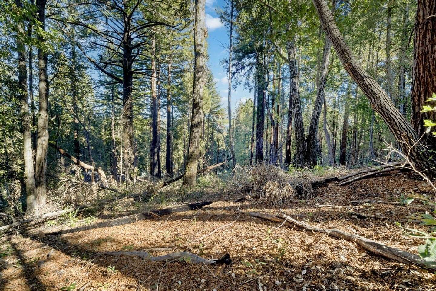 1 Acre of Residential Land for Sale in Brookdale, California