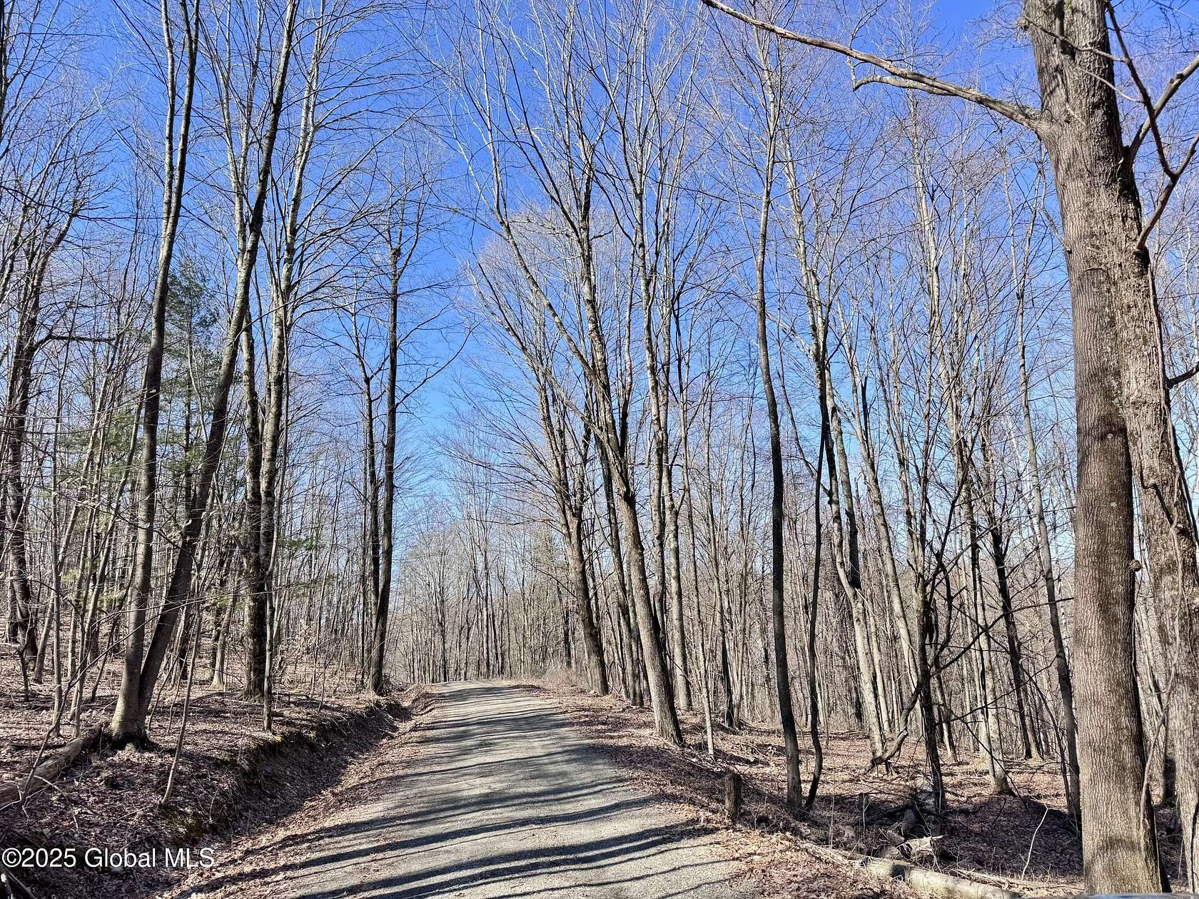 80.5 Acres of Recreational Land for Sale in Greenwich, New York