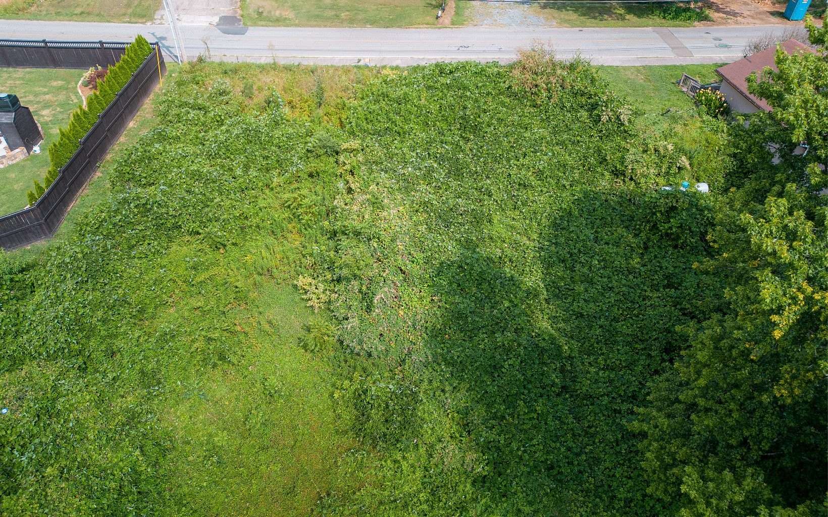 0.38 Acres of Residential Land for Sale in Blue Ridge, Georgia