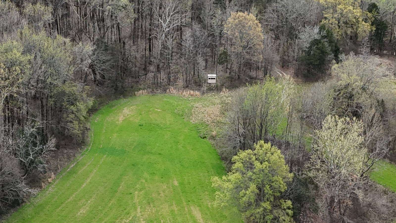 677 Acres of Recreational Land for Sale in Holcomb, Mississippi