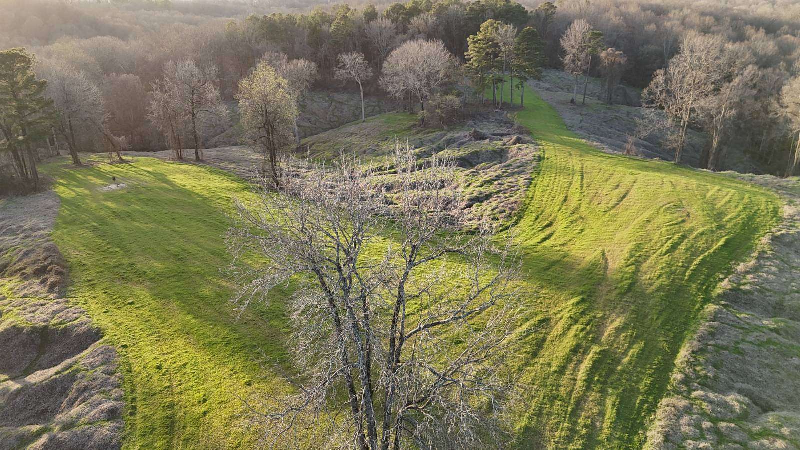 677 Acres of Recreational & Residential Land for Sale in Holcomb, Mississippi