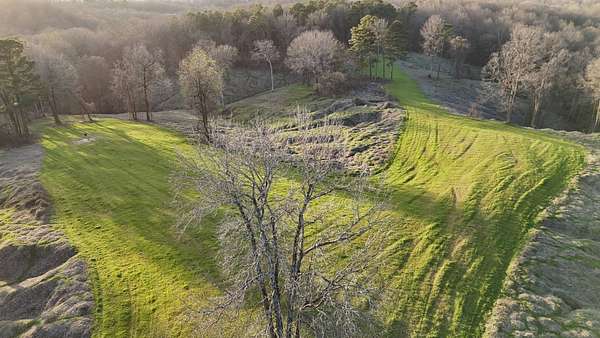 677 Acres of Recreational & Residential Land for Sale in Holcomb, Mississippi