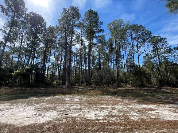 0.23 Acres of Residential Land for Sale in Georgetown, Florida