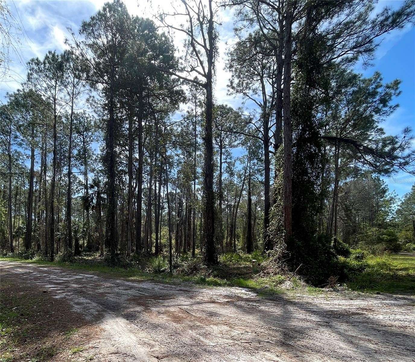 0.24 Acres of Residential Land for Sale in Georgetown, Florida