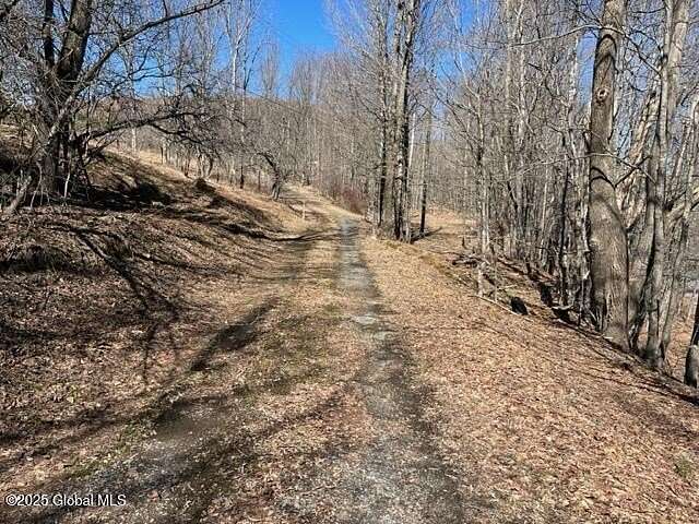 13.5 Acres of Recreational Land for Sale in Summit, New York