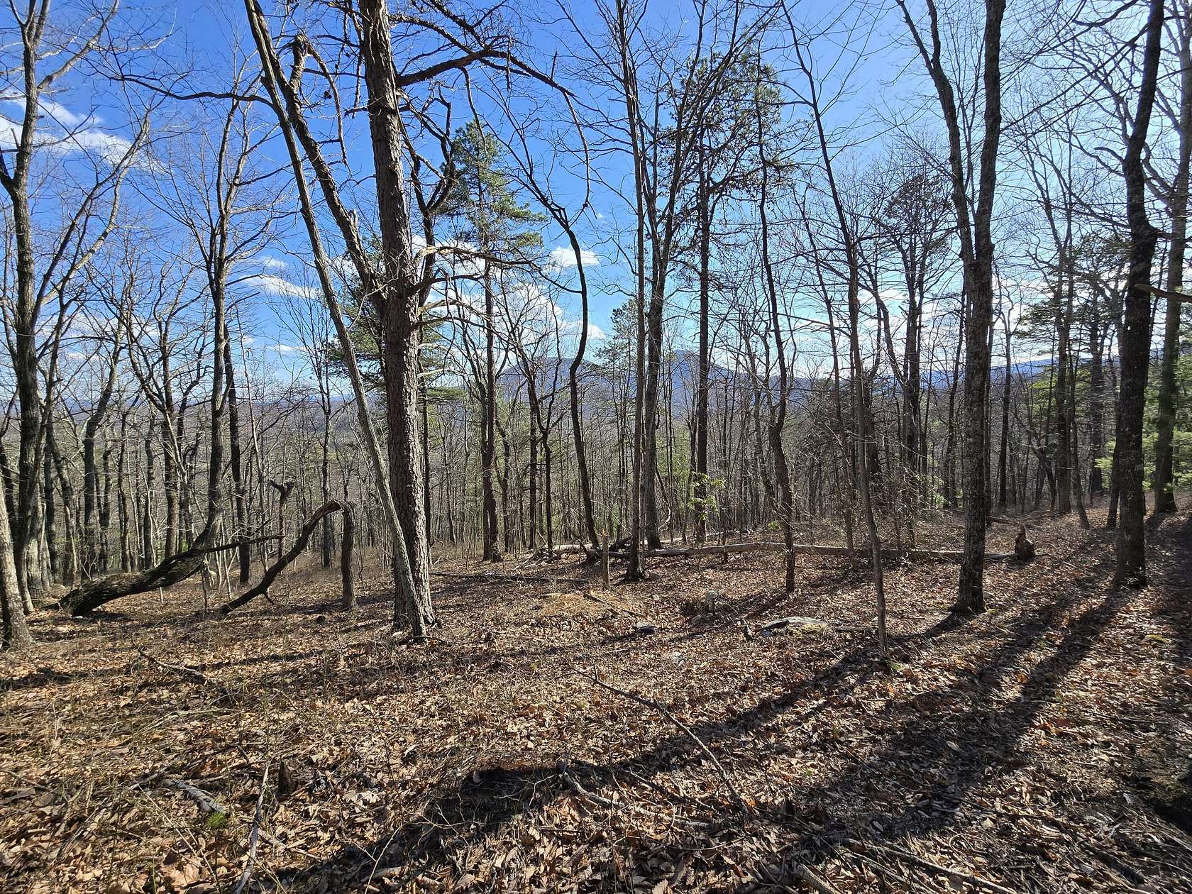 24.2 Acres of Recreational Land for Sale in Lexington, Virginia