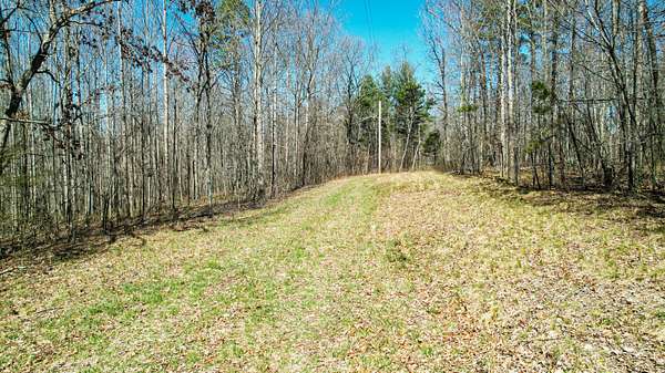 40 Acres of Recreational Land for Sale in Henagar, Alabama