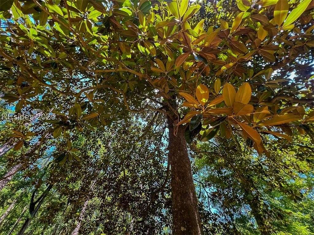 1.5 Acres of Residential Land for Sale in Daufuskie Island, South Carolina