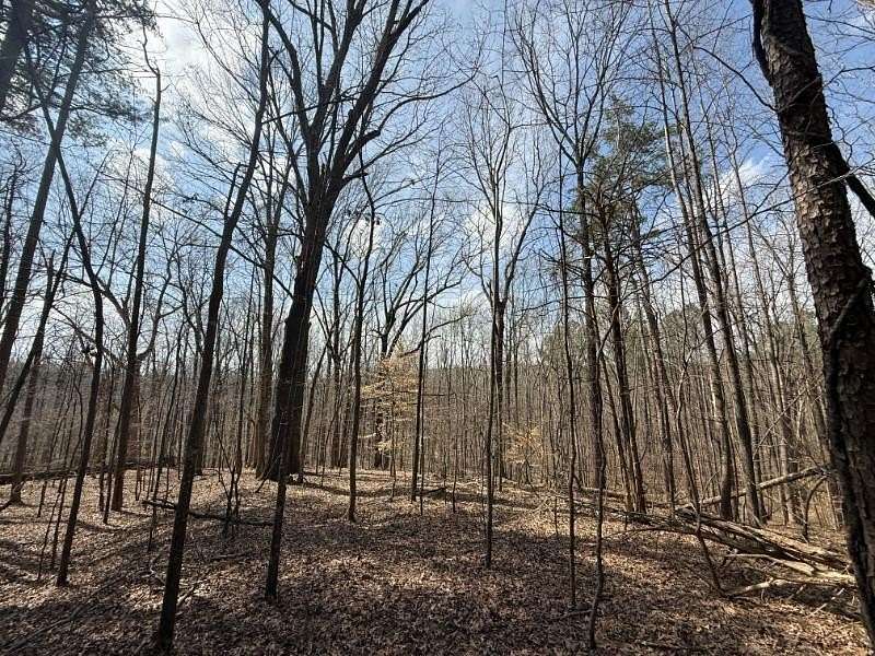 44.4 Acres of Recreational Land for Sale in Ripley, Mississippi