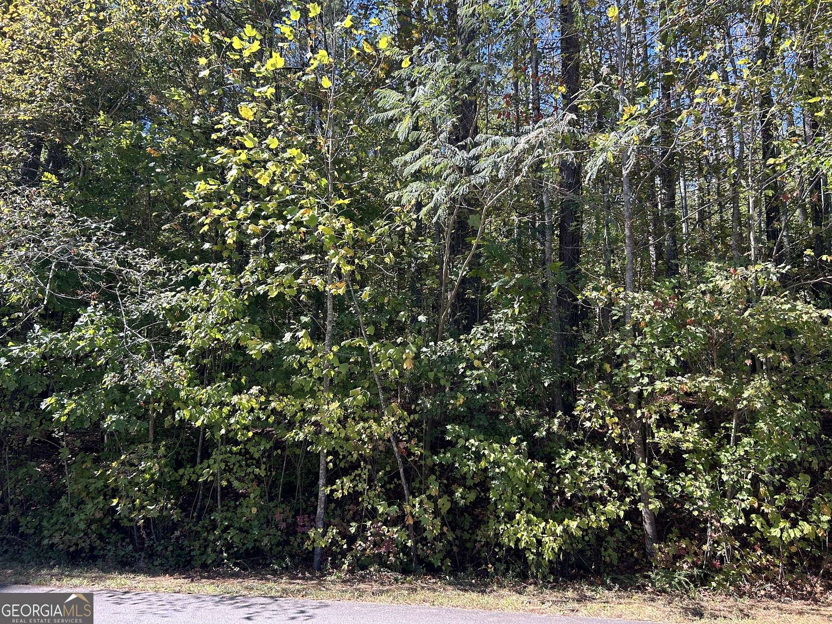 9.9 Acres of Residential Land for Sale in Powder Springs, Georgia