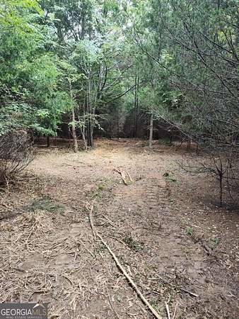 8.67 Acres of Agricultural Land for Sale in Elberton, Georgia