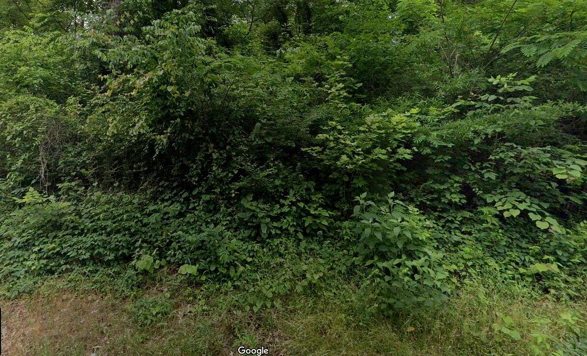 4.5 Acres of Residential Land for Sale in Chattanooga, Tennessee
