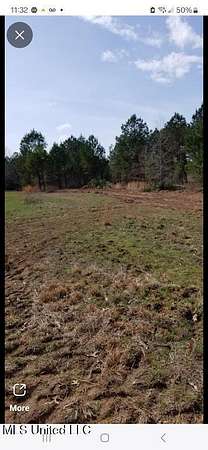 40 Acres of Recreational Land for Sale in Weir, Mississippi