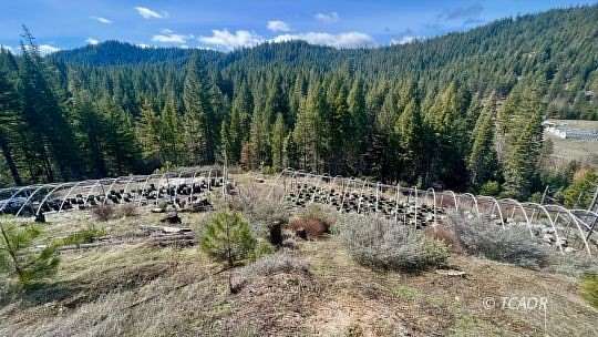 5.34 Acres of Land for Sale in Wildwood, California