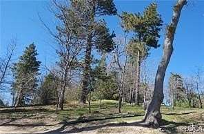 0.28 Acres of Land for Sale in Running Springs, California