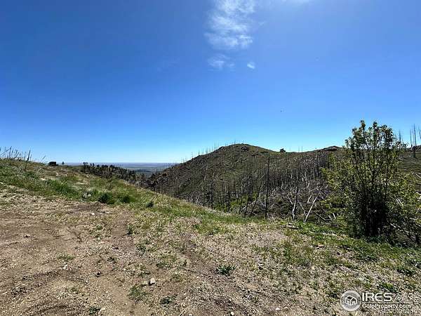 28.6 Acres of Recreational & Residential Land for Sale in Bellvue, Colorado
