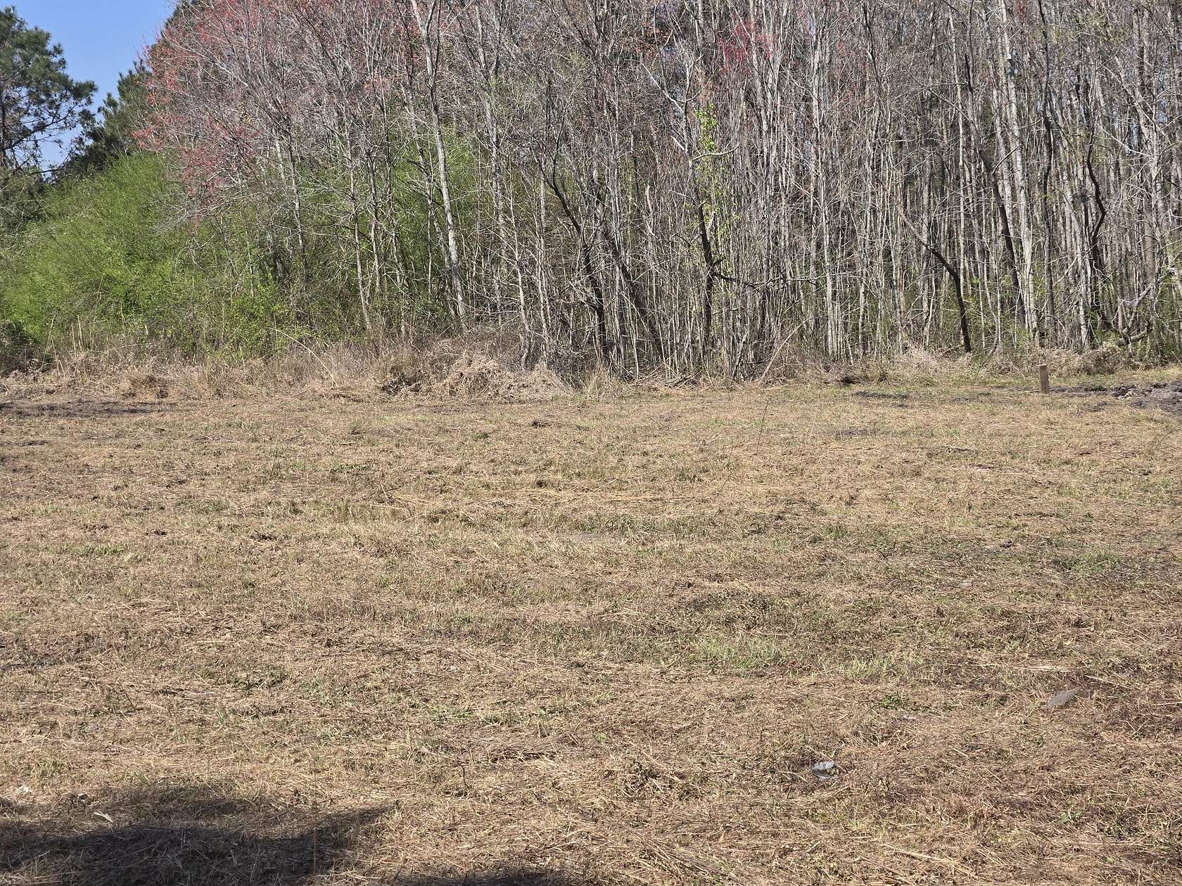 1 Acre of Residential Land for Sale in Smoaks, South Carolina