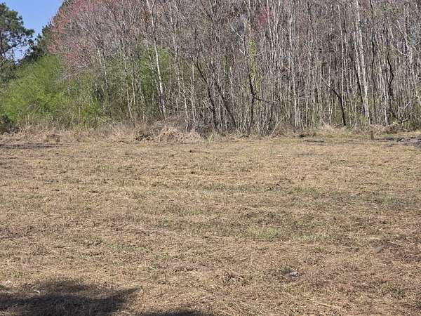 1 Acre of Residential Land for Sale in Smoaks, South Carolina