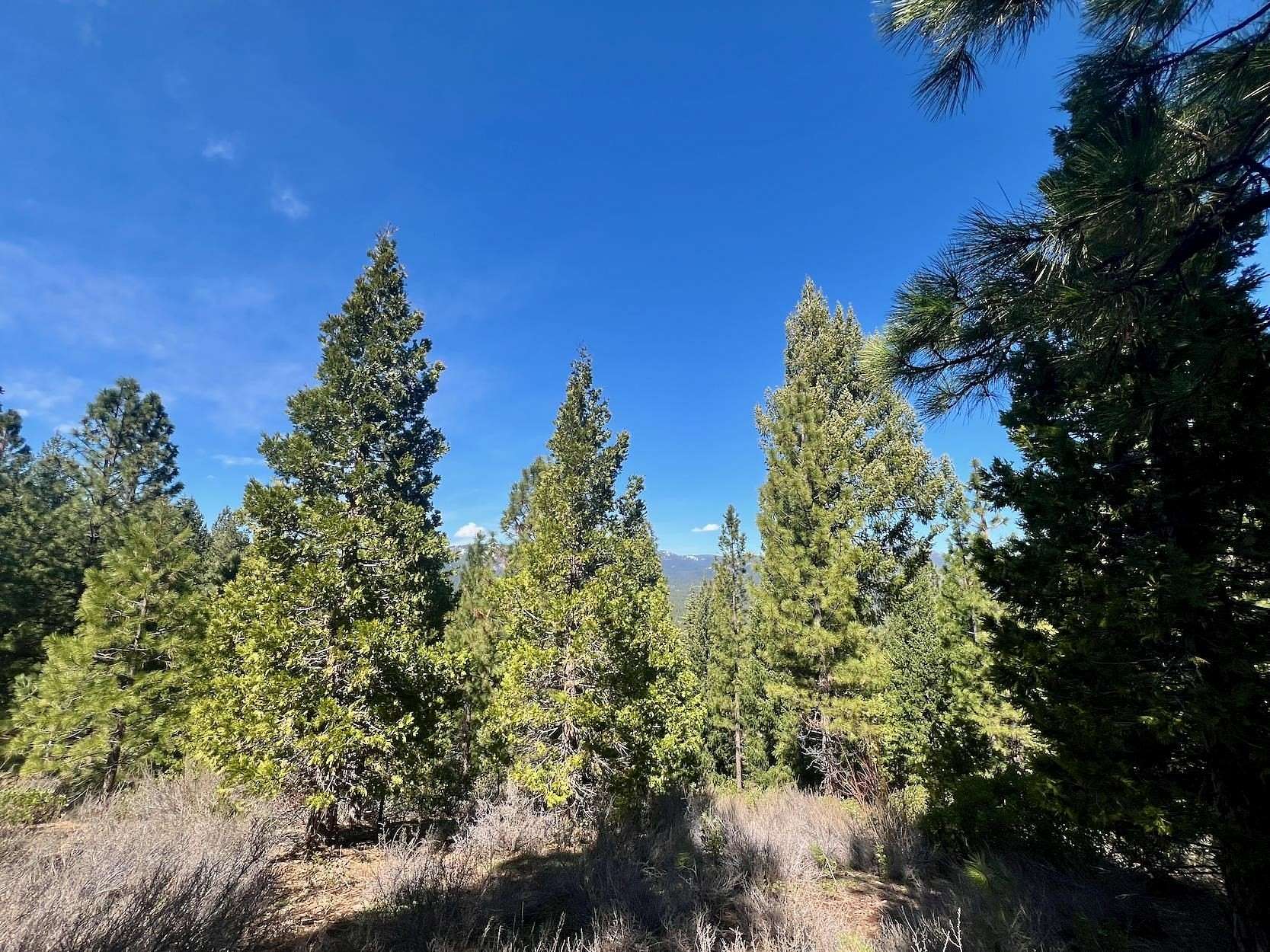 4.22 Acres of Residential Land for Sale in Portola, California