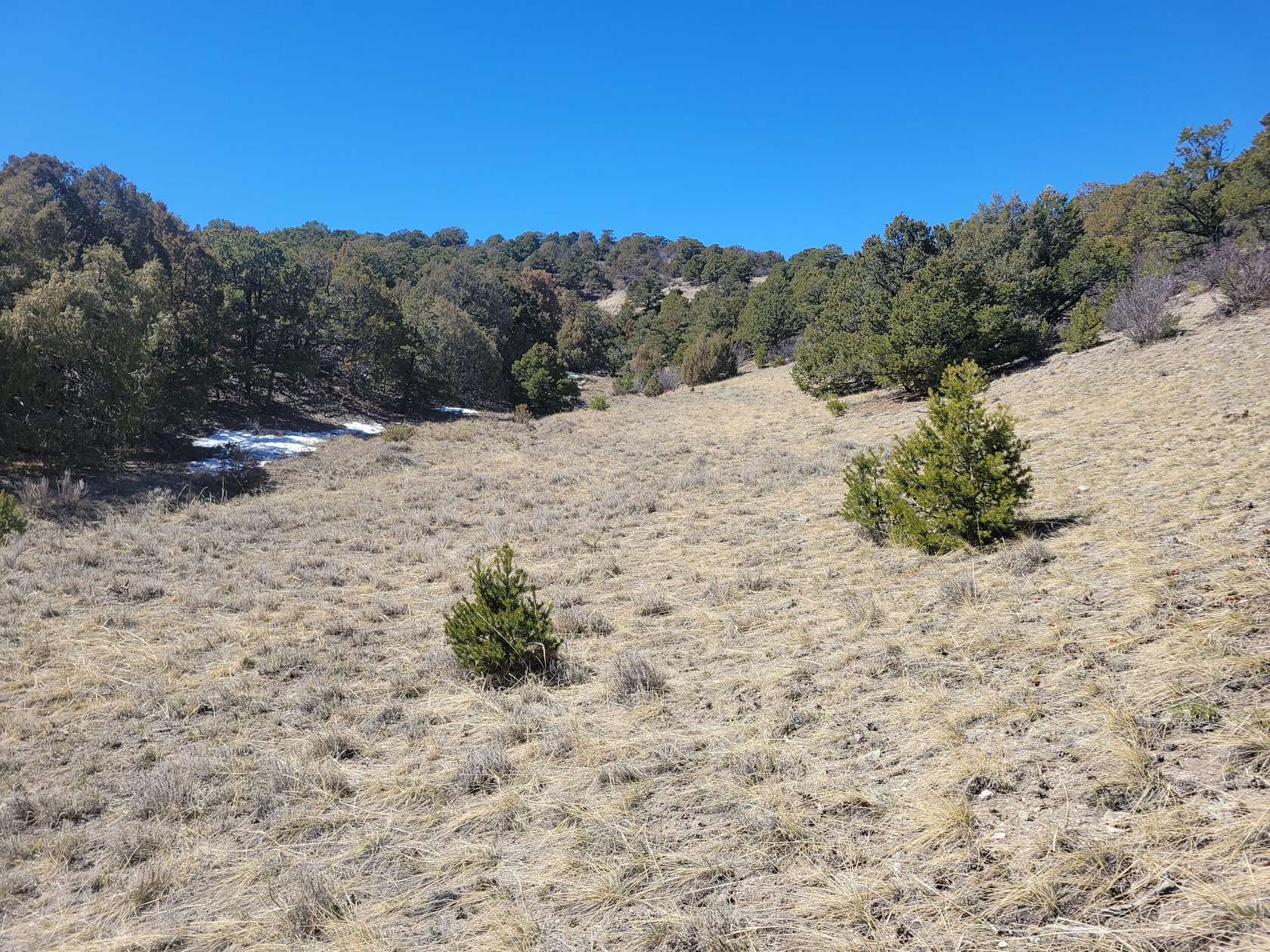41.2 Acres of Recreational Land for Sale in Salida, Colorado