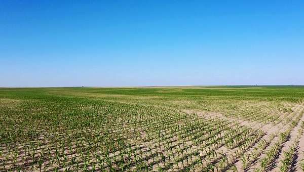 160 Acres of Agricultural Land for Sale in Syracuse, Kansas