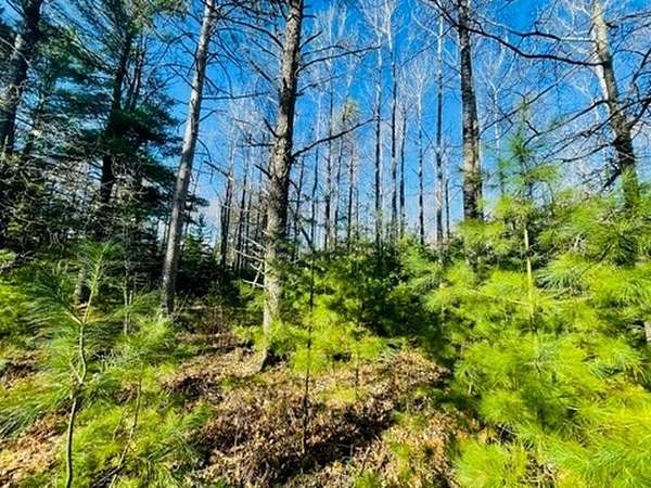 2.3 Acres of Land for Sale in Presque Isle, Wisconsin