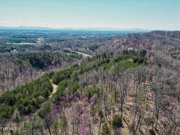 22.2 Acres of Recreational Land for Sale in Bulls Gap, Tennessee