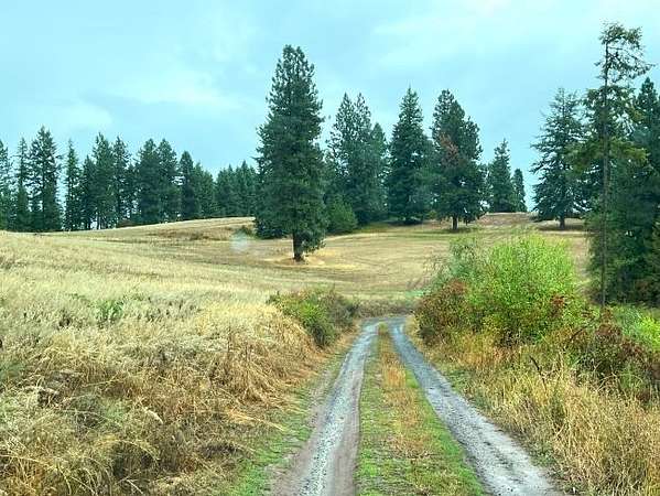 618 Acres of Land for Sale in Lenore, Idaho