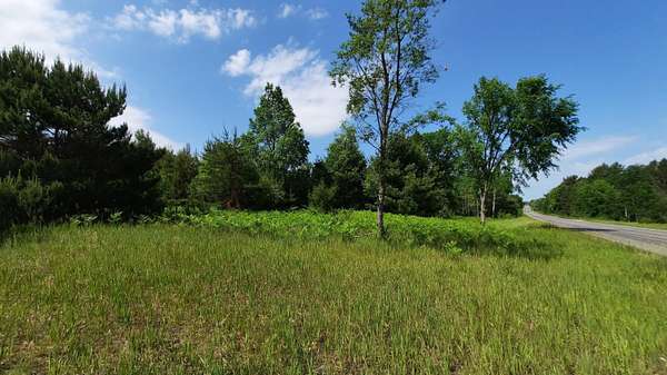 19.6 Acres of Recreational Land for Sale in Kaleva, Michigan
