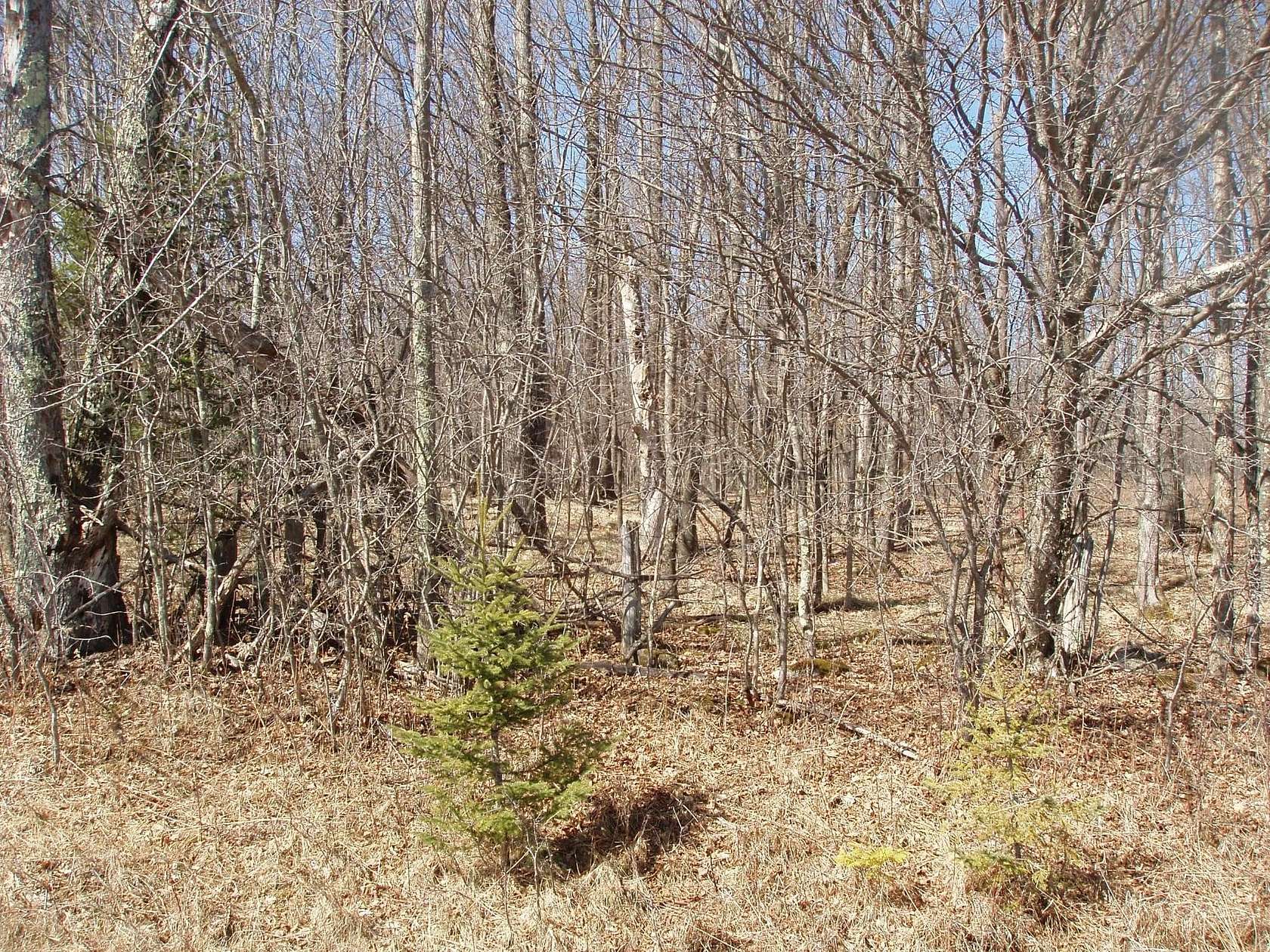 1.58 Acres of Residential Land for Sale in Park Falls, Wisconsin