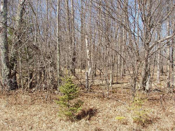 1.58 Acres of Residential Land for Sale in Park Falls, Wisconsin