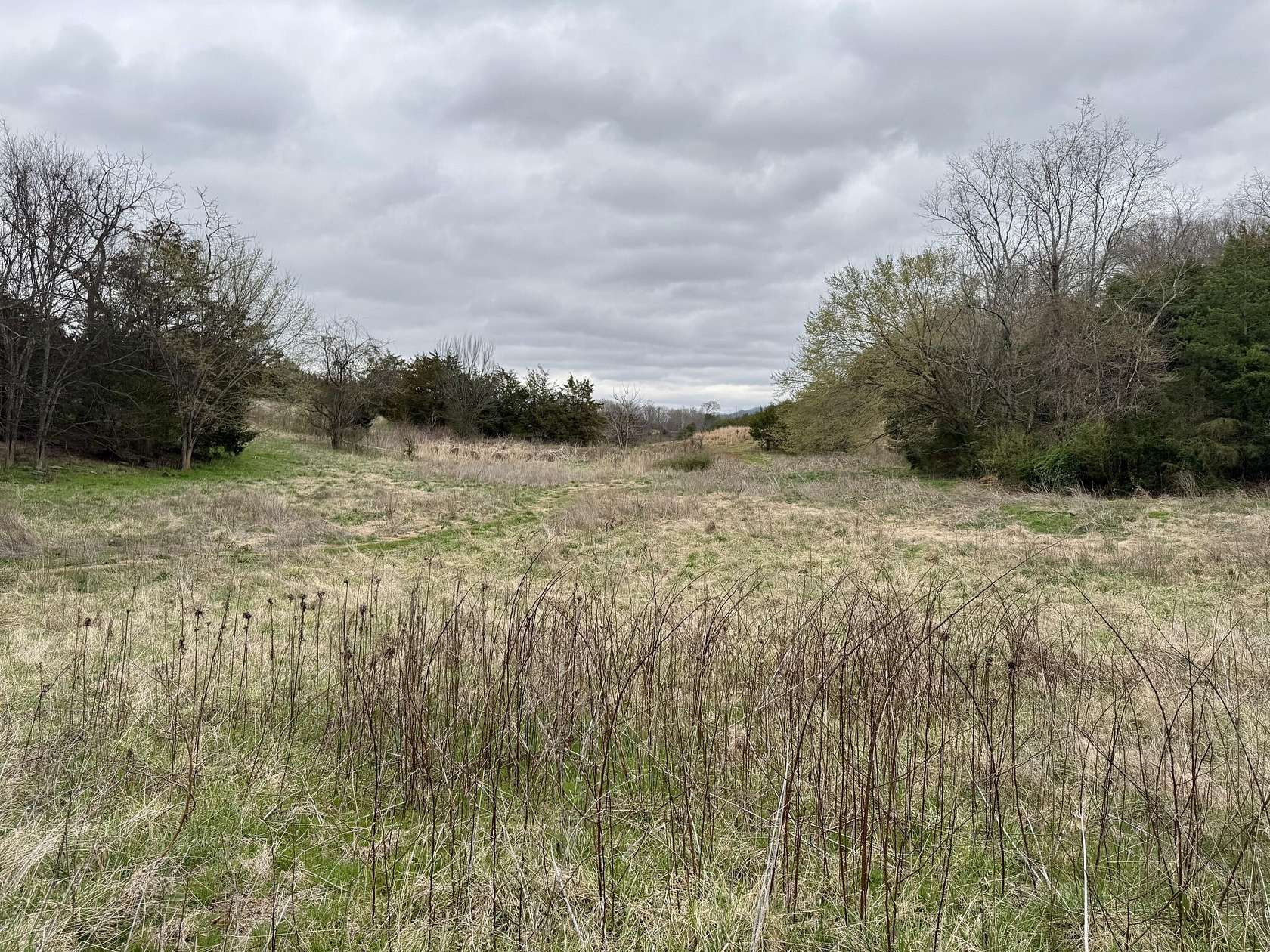 70.5 Acres of Land for Sale in Parrottsville, Tennessee