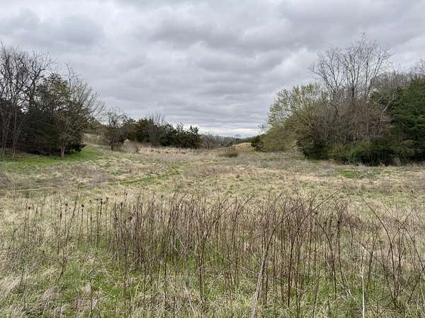 70.5 Acres of Land for Sale in Parrottsville, Tennessee