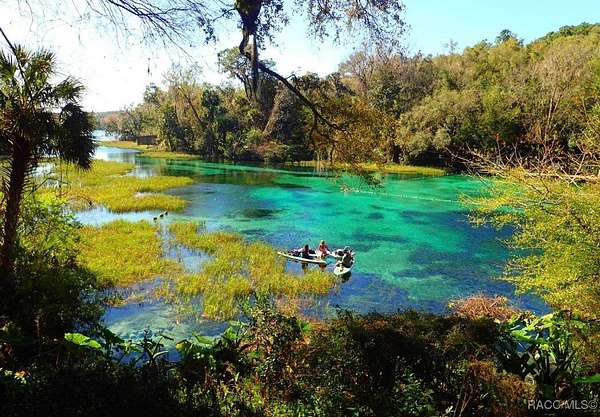 0.43 Acres of Residential Land for Sale in Dunnellon, Florida