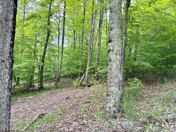 0.48 Acres of Residential Land for Sale in Davis, West Virginia