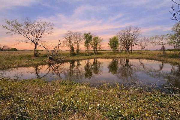 5.5 Acres of Land for Sale in Corsicana, Texas